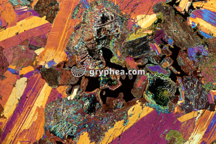 Gabbro LPA et lame quart d'onde x4 - gryphea.com
